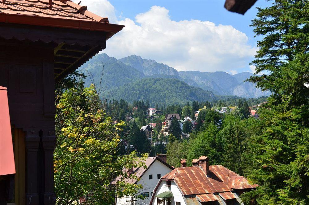 Vila Arizto Sinaia Eksteriør bilde