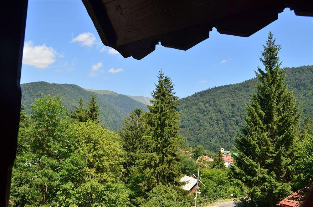 Vila Arizto Sinaia Eksteriør bilde