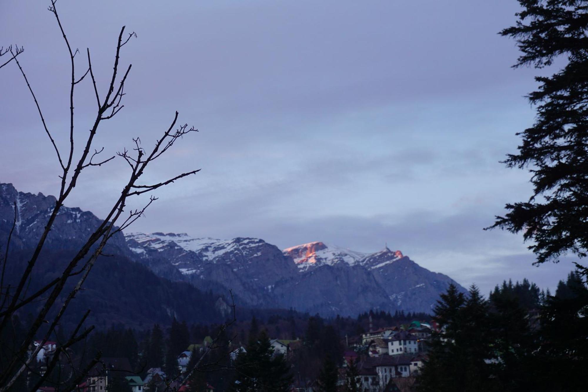 Vila Arizto Sinaia Rom bilde