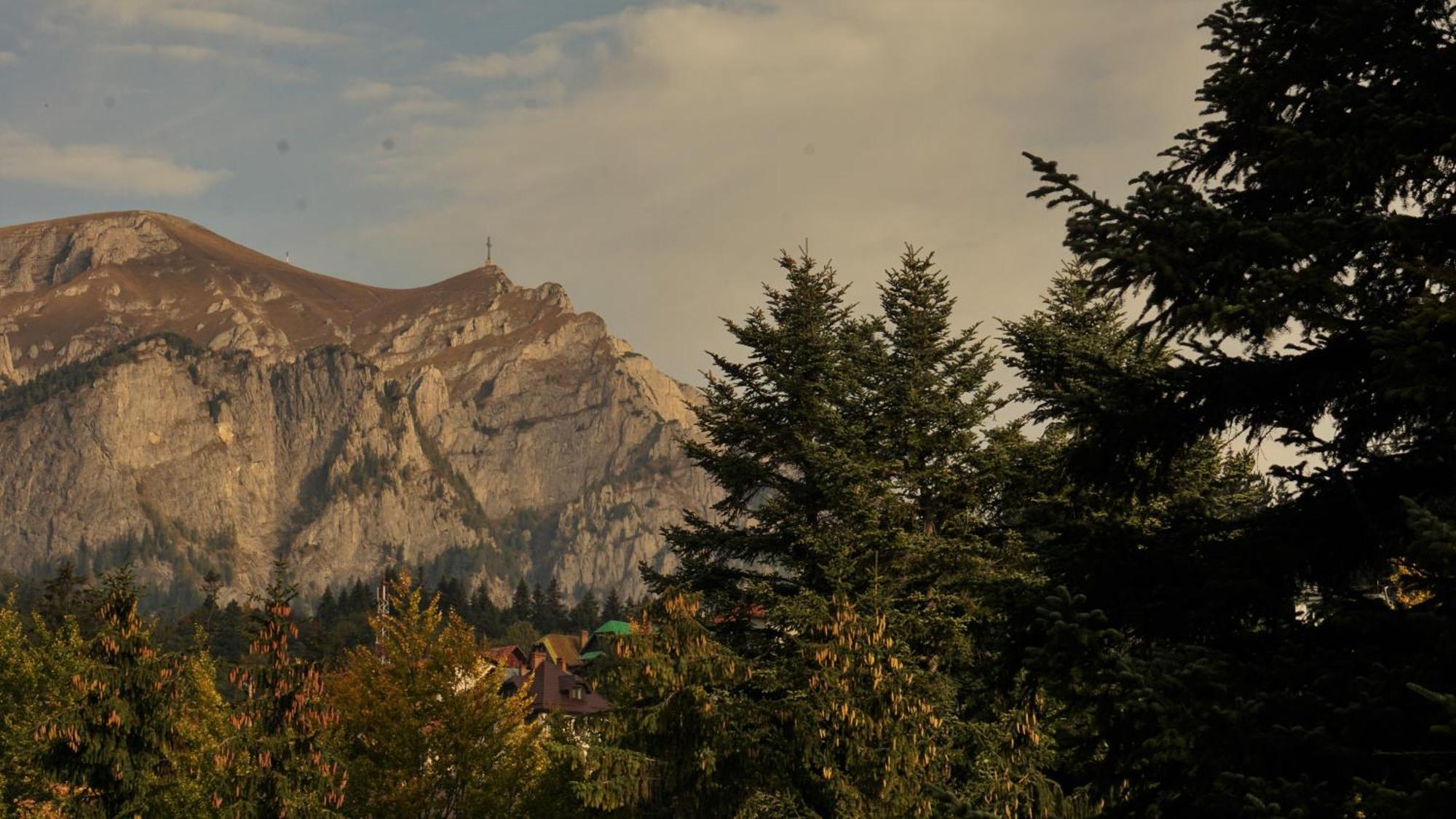 Vila Arizto Sinaia Rom bilde