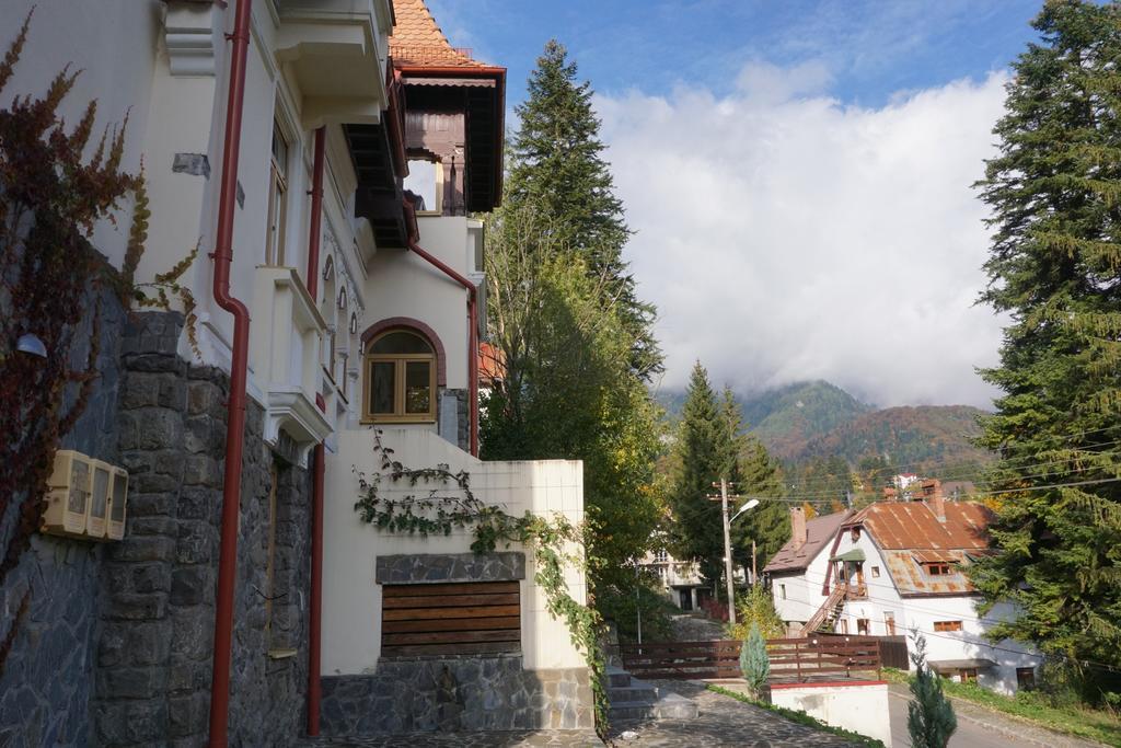 Vila Arizto Sinaia Eksteriør bilde