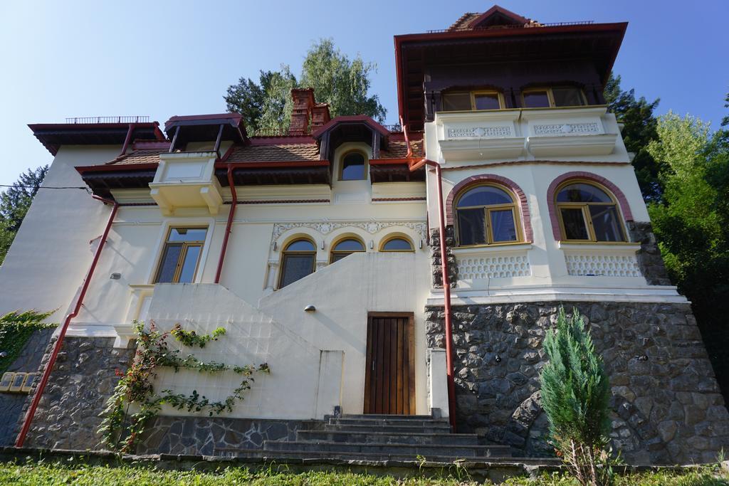 Vila Arizto Sinaia Eksteriør bilde
