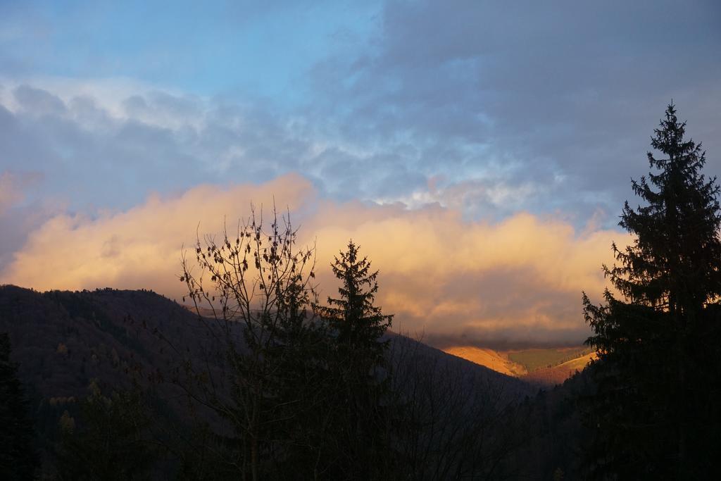 Vila Arizto Sinaia Eksteriør bilde
