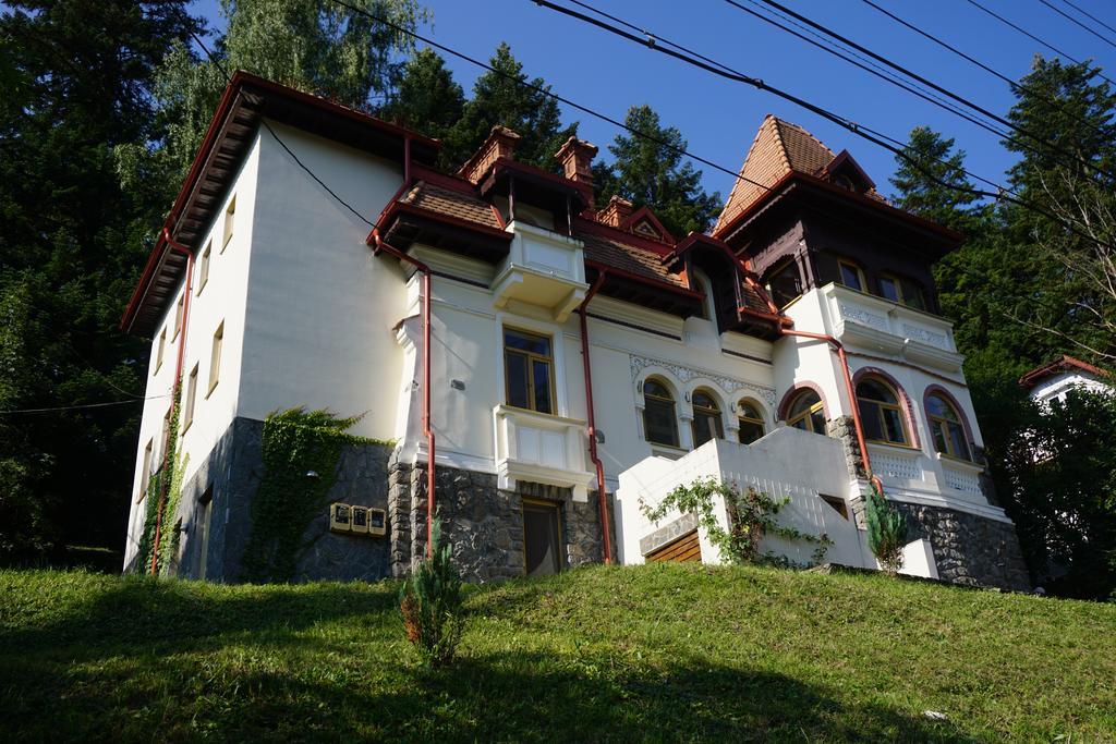 Vila Arizto Sinaia Eksteriør bilde