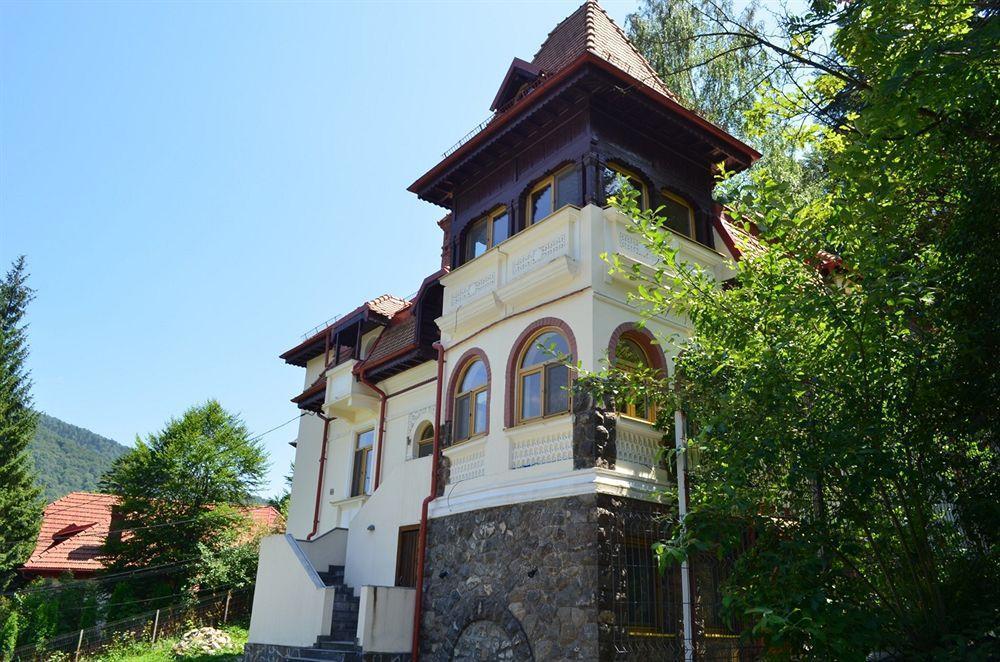 Vila Arizto Sinaia Eksteriør bilde