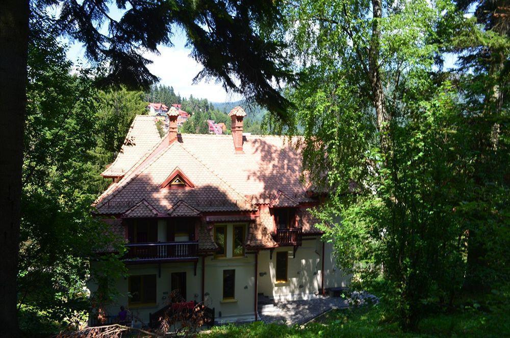 Vila Arizto Sinaia Eksteriør bilde