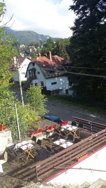 Vila Arizto Sinaia Eksteriør bilde