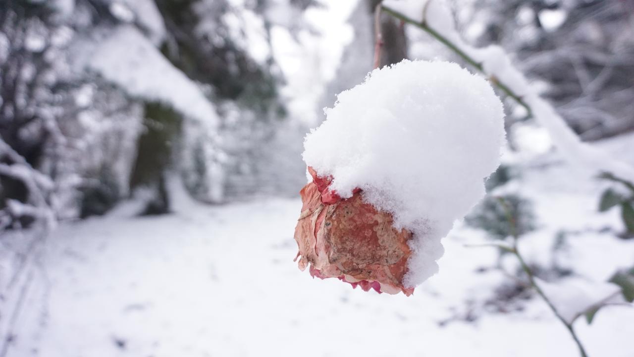 Vila Arizto Sinaia Eksteriør bilde